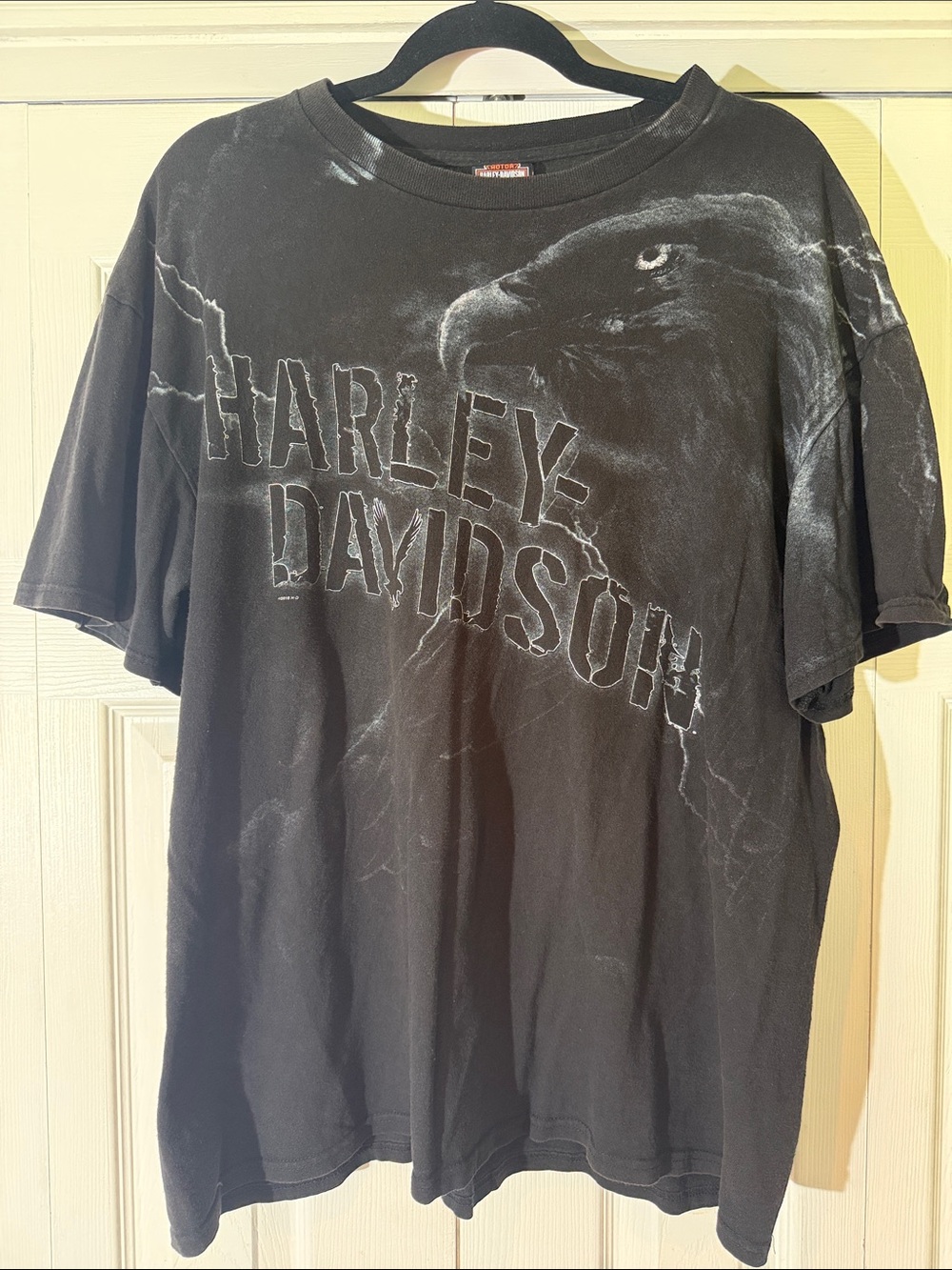 Harley-Davidson Winona, MN Black Eagle Lightning Graphic Tee